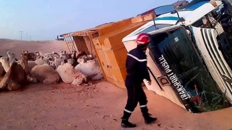 الحماية المدنية: تسجيل 12 وفاة و156 جريحا خلال الـ 24 ساعة الأخيرة