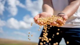 الجزائر تطرح مناقصة لشراء 305 الف طن من الأعلاف