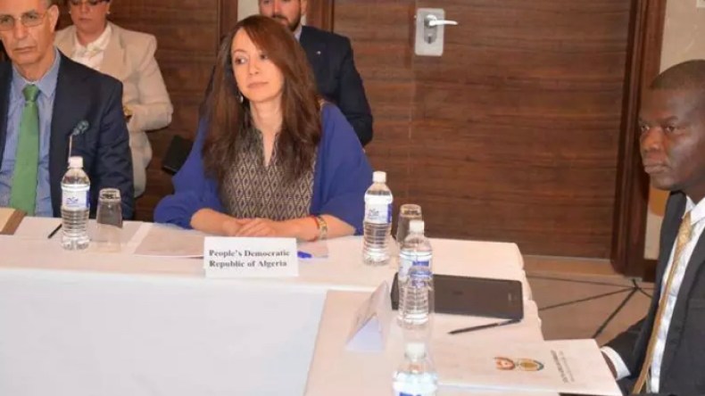 منصوري تؤكد أهمية تنفيذ اتفاق السلام في جنوب السودان