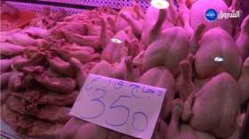 استقرار أسعار اللّحوم البيضاء .. وفرة المنتوج وارتياح المستهلك ورهان المحافظة على الأسعار خلال شهر رمضان