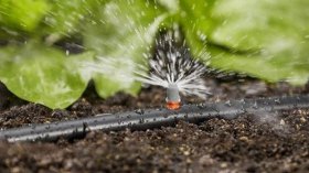 فدرالية الري تطالب بمراجعة الاتفاقية الجماعية للقطاع