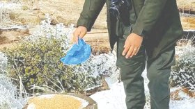 مبادرات لتوفير الغذاء للطيور بعد تساقط الثلوج