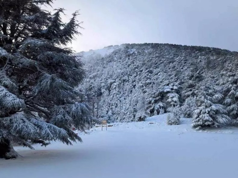 Les chutes de neige continueront sur plusieurs wilayas du Centre et de l’Est du pays jeudi