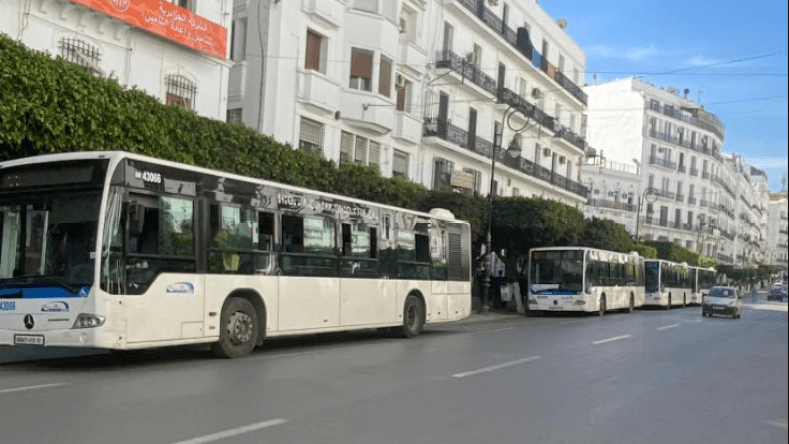 وزارة النقل: تدعيم ثلاث ولايات كبرى بـ 104 حافلات جديدة