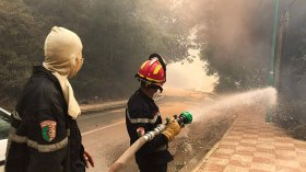 نشوب حرائق غابية في عدة ولايات