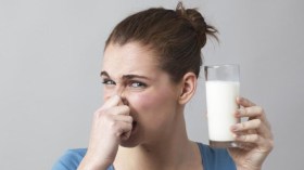 ما علاقة شرب الحليب بزيادة احتقان الأنف أثناء الإصابة بنزلة البرد؟