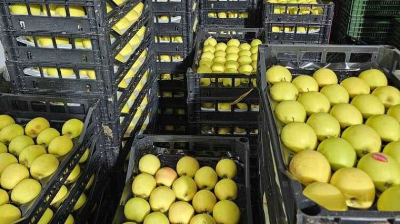 سبع سنوات حبسا لتاجر مضارب بالتفاح في باتنة