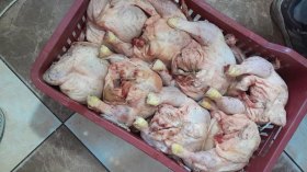 أخبار الجزائر ليوم الإثنين 27 جانفي 2025