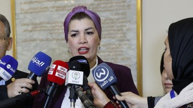 Cases of Extending the Maternity Leave and Deadlines