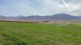 تسوية وضعية الأراضي المستغلة.. فلاحو المسيلة يطالبون السلطات بالتدخل