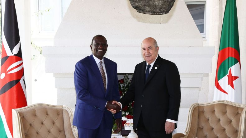 الجزائر وكينيا تؤكدان مواصلة التشاور بخصوص اصلاح مؤسسات الاتحاد الافريقي