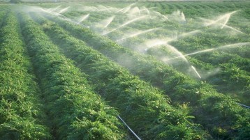 ما بعد المرتبة الأولى