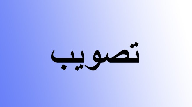 تصويب