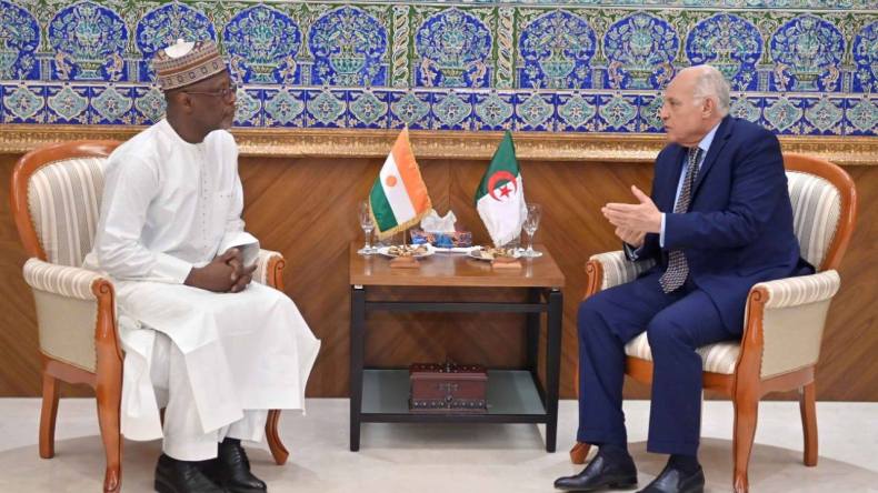 تسهيلات إدارية وجمركية جديدة بين الجزائر والنيجر