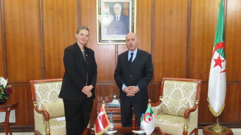 سايحي يتباحث مع سفيرة الدنمارك لتعزيز التعاون في مجال الصحة