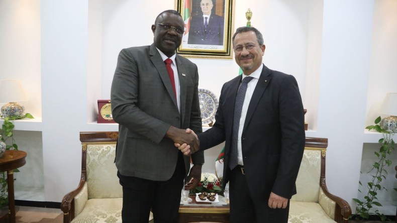 شراكة واعدة بين الجزائر والنيجر في مجال الأشغال العمومية