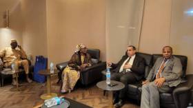 مدير سونلغاز في زيارة عمل إلى النيجر