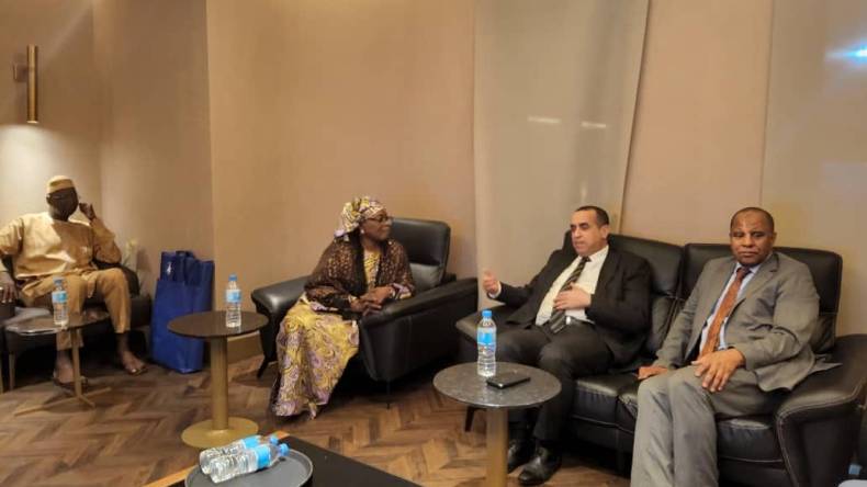 مدير سونلغاز في زيارة عمل إلى النيجر