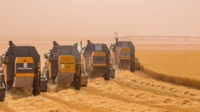 العتاد والتكنولوجيا الإيطالية يحطان في تيميمون لإطلاق إنتاج القمح