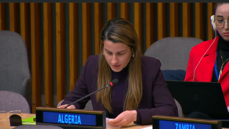 هذه هي رؤية الجزائر لتحقيق التنمية المستدامة في أفريقيا