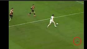 بالفيديو.. سنجاب يقتحم أرضية الميدان خلال مباراة في الدوري الإنجليزي