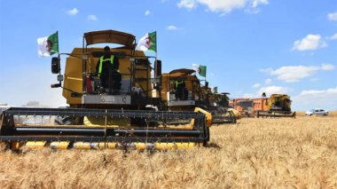 French Fear of the Algerian-Italian Rapprochement in Wheat Production