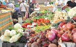نزول إلى الأسواق لمحاصرة الأسعار واستدعاء المخالفين