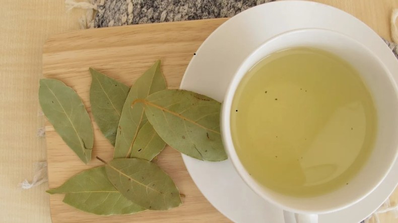 تعرّفي على الفوائد المدهشة لأوراق الغار