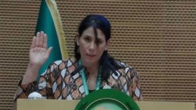 طنين الذباب!