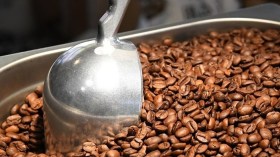 15 سنة حبسا نافذة ضدّ متّهم بالمضاربة غير المشروعة في البنّ بالجلفة