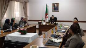 قريبا.. “رقم أخضر” للتبليغ عن العنف ضد المرأة