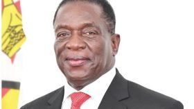 مجموعة “الصادك” تؤكد دعمها لاستقلال الصحراء الغربية