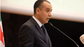 وليد صادي: “تطوير الرياضة في الجزائر في صميم اهتمام السلطات العليا”