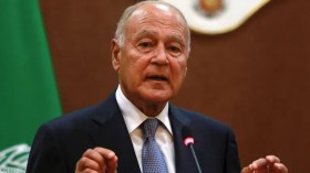 أبو الغيط: الاحتلال يسعى لانتهاز المرحلة الدقيقة التي تمرّ بها سوريا لنهش أراضيها