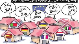 إستيراد الكباش!