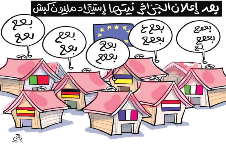 إستيراد الكباش!