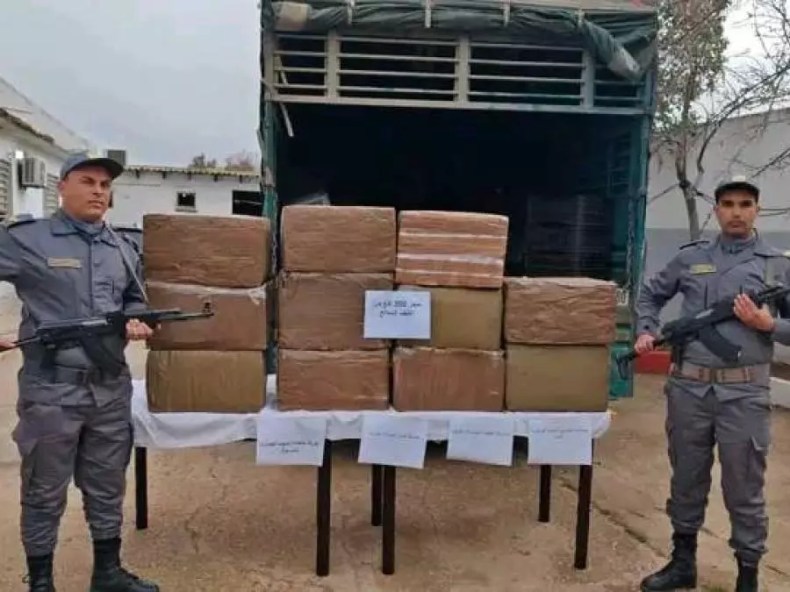 Saisie de trois quintaux de kif et arrestation d’une personne à Tiaret