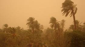 تنبيه: أمطار رعدية ورياح عاتية وزوابع على 14 ولاية