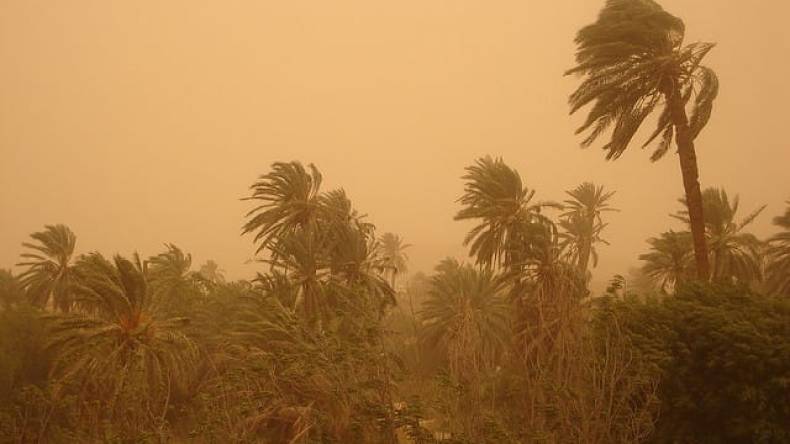 تنبيه: أمطار رعدية ورياح عاتية وزوابع على 14 ولاية