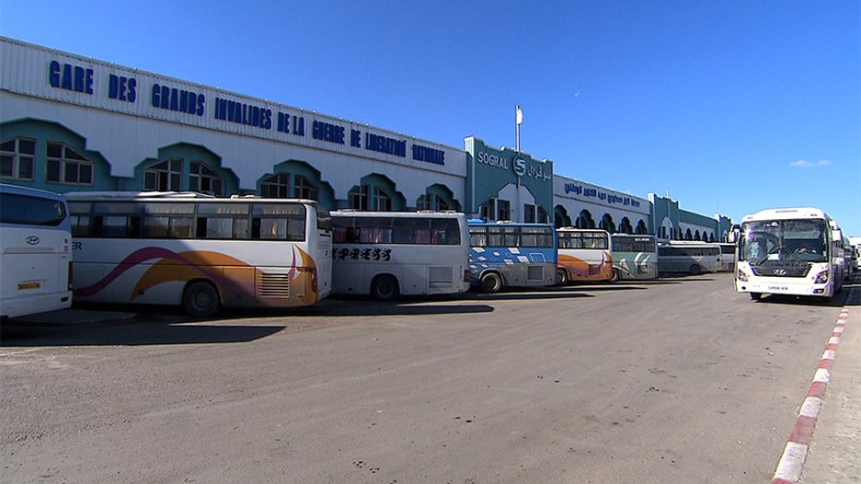 اطمئنوا… توفير النقل لـ350 ألف مسافر عشية العيد