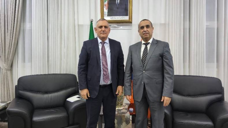 مباحثات بين “سونلغاز” و “كات” لتطوير الخدمات التأمينية المقدمة للزبائن