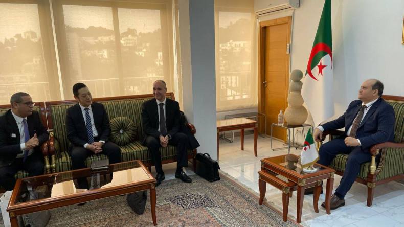 تصنيع السيارات: غريب يتباحث مع وفد من “جريت وول موتورز”