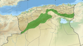 السد الأخضر…غرس مساحة تُقدّر بـ 31 ألف هكتار