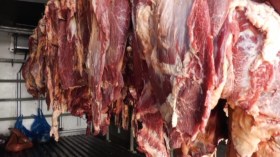 منظمة حماية المستهلك تُطلق حملة تبليغ ضد المذابح السرية للدواجن والمواشي