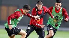 الموزمبيق ليست بوتسوانا ودفاع الخضر مطالب بالحذر