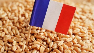 Crisis With Paris Hits French Wheat Exports To Algeria