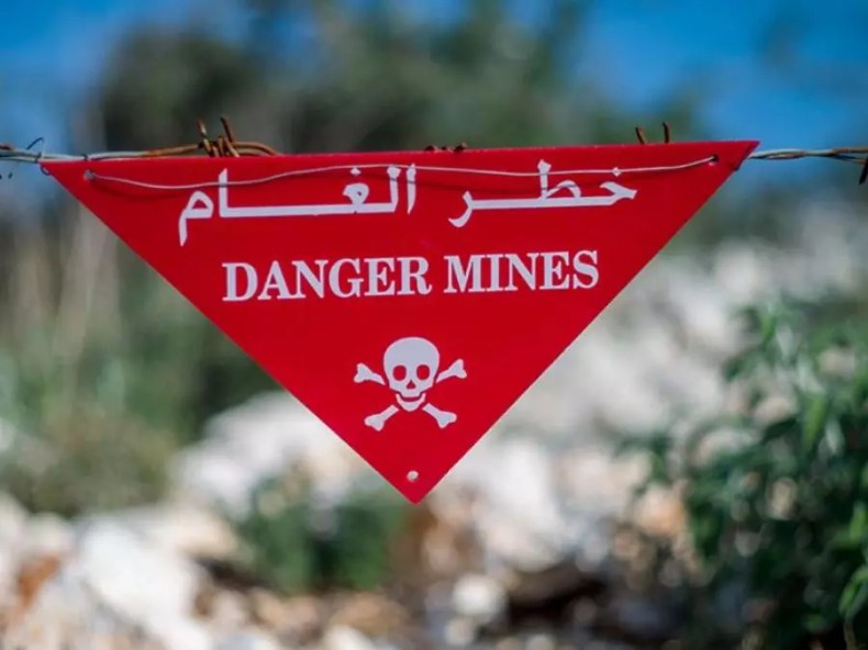 L’Algérie plaide depuis Genève la cause des victimes et survivants des mines antipersonnel
