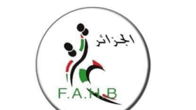 مترشح وحيد لرئاسة الاتحادية الجزائرية لكرة اليد