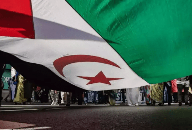Marche en France pour la libération des prisonniers politiques sahraouis
