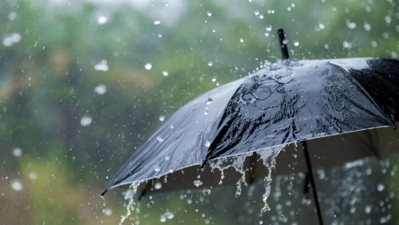 Météo: De fortes pluies et orages dans plusieurs wilayas du pays